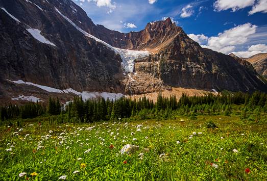 「Cavell Meadows Trail」的圖片搜尋結果