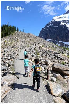加拿大｜健行。Path of the Glacier天使冰河步道．步行20分鐘近距離觀賞冰河景觀