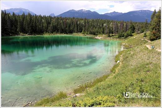 加拿大｜健行。Valley of the Five Lakes五湖之谷步道．盡覽5顆綠寶石湖泊美景步道