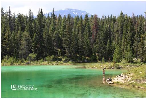 加拿大｜健行。Valley of the Five Lakes五湖之谷步道．盡覽5顆綠寶石湖泊美景步道
