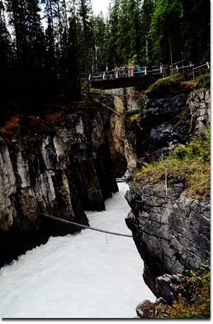 Sunwapta Falls  (9)