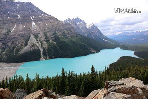 加拿大｜Peyto Lake沛托湖．Tiffany藍絕美夢幻冰河湖